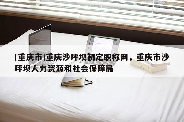 [重慶市]重慶沙坪壩初定職稱網，重慶市沙坪壩人力資源和社會保障局