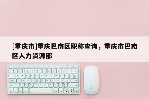 [重慶市]重慶巴南區職稱查詢，重慶市巴南區人力資源部