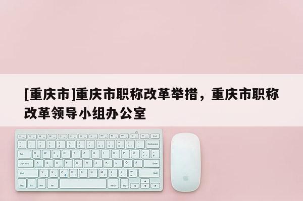[重慶市]重慶市職稱改革舉措，重慶市職稱改革領導小組辦公室