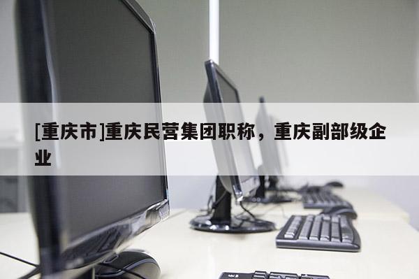 [重慶市]重慶民營集團職稱，重慶副部級企業