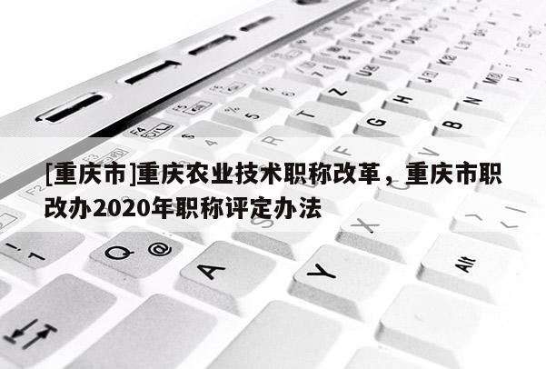 [重慶市]重慶農業技術職稱改革，重慶市職改辦2020年職稱評定辦法