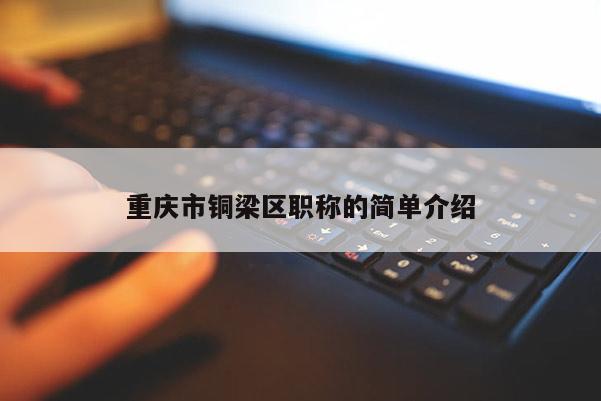 重慶市銅梁區職稱的簡單介紹