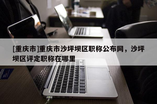 [重慶市]重慶市沙坪壩區(qū)職稱公布網(wǎng)，沙坪壩區(qū)評(píng)定職稱在哪里